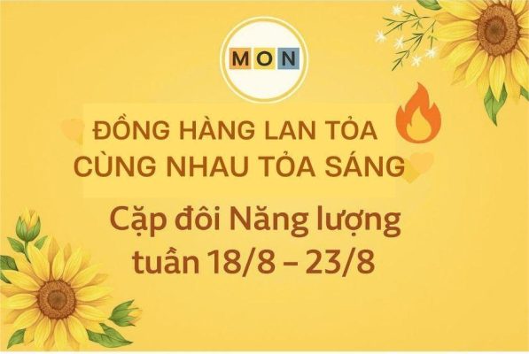 WEBSITE (1)