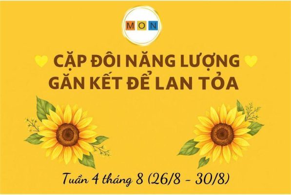 WEBSITE (12)