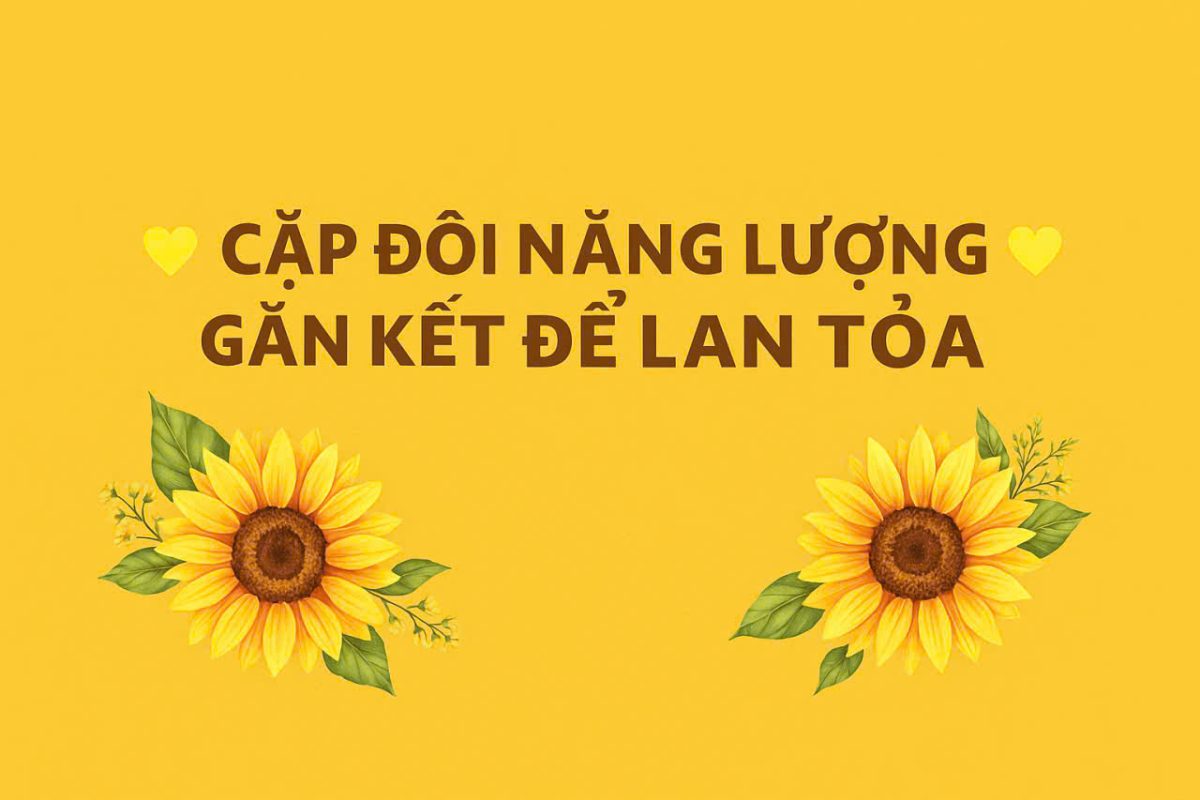 MonSchool.edu.vn